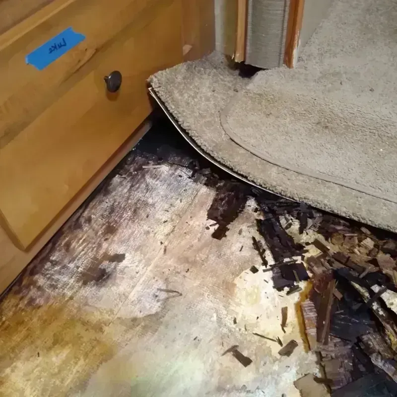 Wood Floor Water Damage in Montana City, MT